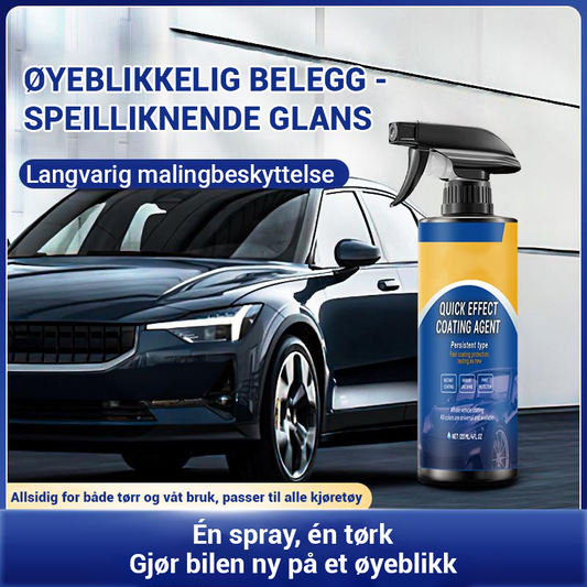 🔥Ryddesalg🔥Avansert Hurtigvirkende Bilbelegg Spray(Jo mer du kjøper, jo høyere rabatt)