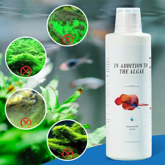 🔥Ryddesalg🔥Effektiv Algestopp for Akvarium(Jo mer du kjøper, jo høyere rabatt)
