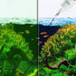 🔥Ryddesalg🔥Effektiv Algestopp for Akvarium(Jo mer du kjøper, jo høyere rabatt)